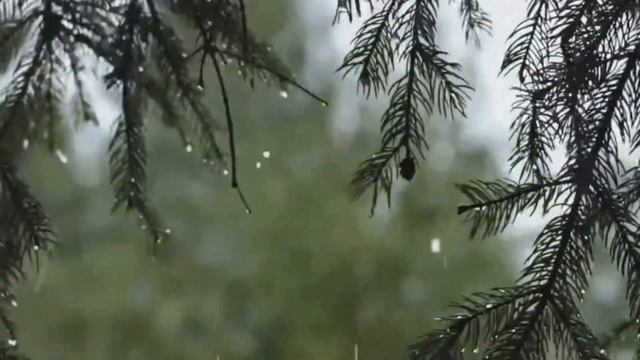 Relaxing Music & Rain Sounds - Background Music Beautiful Piano Music for Work and Study смотреть онлайн