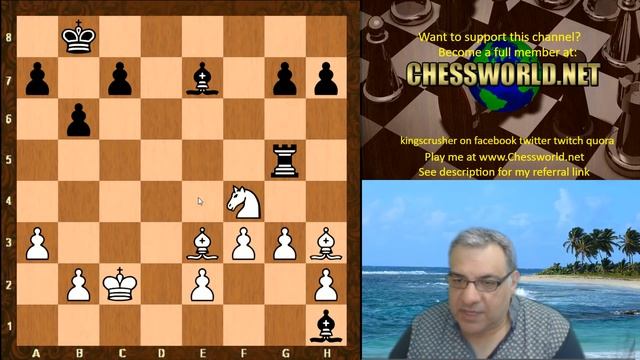 An amusing Bishops "going to the pub" Engine chess game! Leela ID 11198 vs Fire_7.1 смотреть онлайн