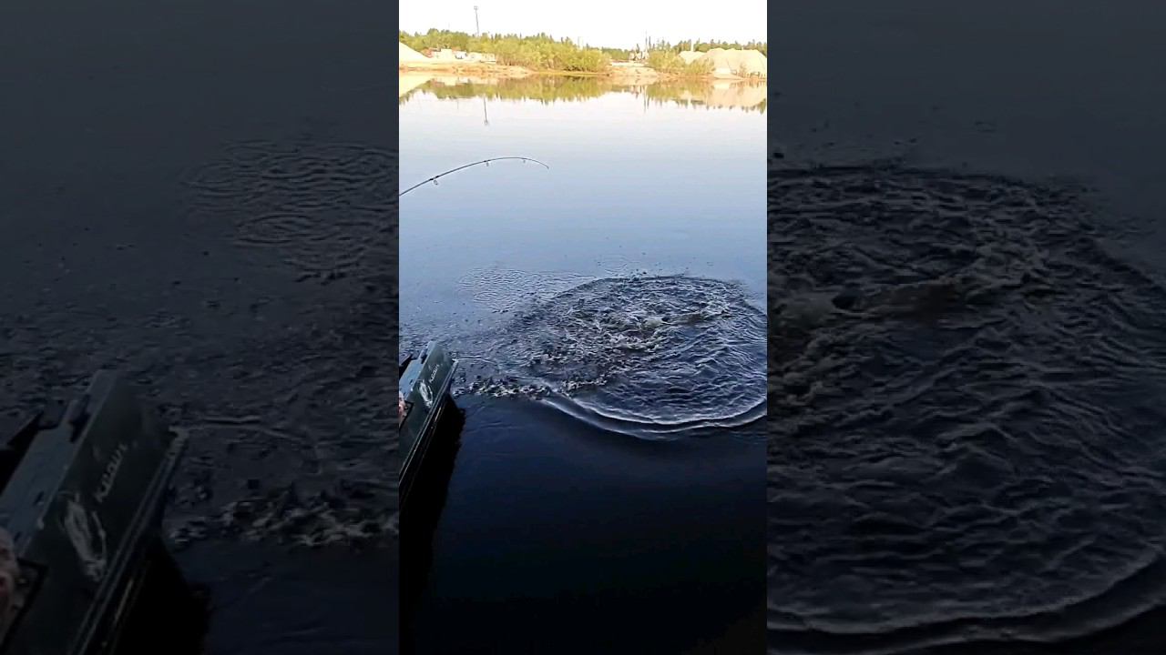 ЩУКА НА БУЛЮ ОСНАСТКА СТИНГЕР ПОЛНОЕ ВИДЕО НА КАНАЛЕ РЫБАЛКА БЕЗ ПОДСАКА смотреть онлайн