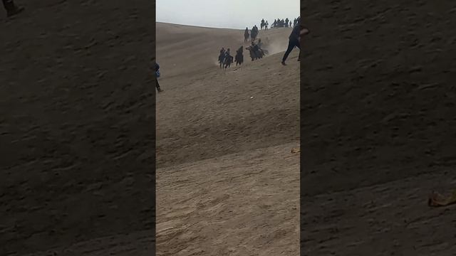 buzkaahi dar shahraki Guliston 6.chi nasos 03.11.22 смотреть онлайн