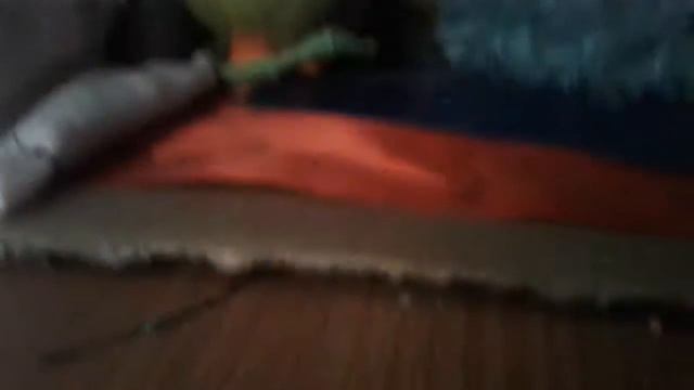 Мой домик для кукол лол! смотреть онлайн