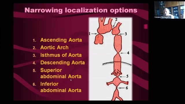 Lection: Congenital malformations of the hearth anf main vessels смотреть онлайн