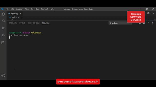 Python Tuple Introduction- Python Tutorials 29 смотреть онлайн