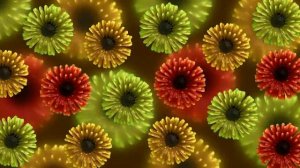 Очень красивый цветочный футаж. Фон для видео.