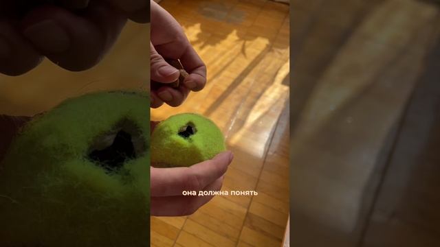 Развивающая игра для собаки своими руками смотреть онлайн