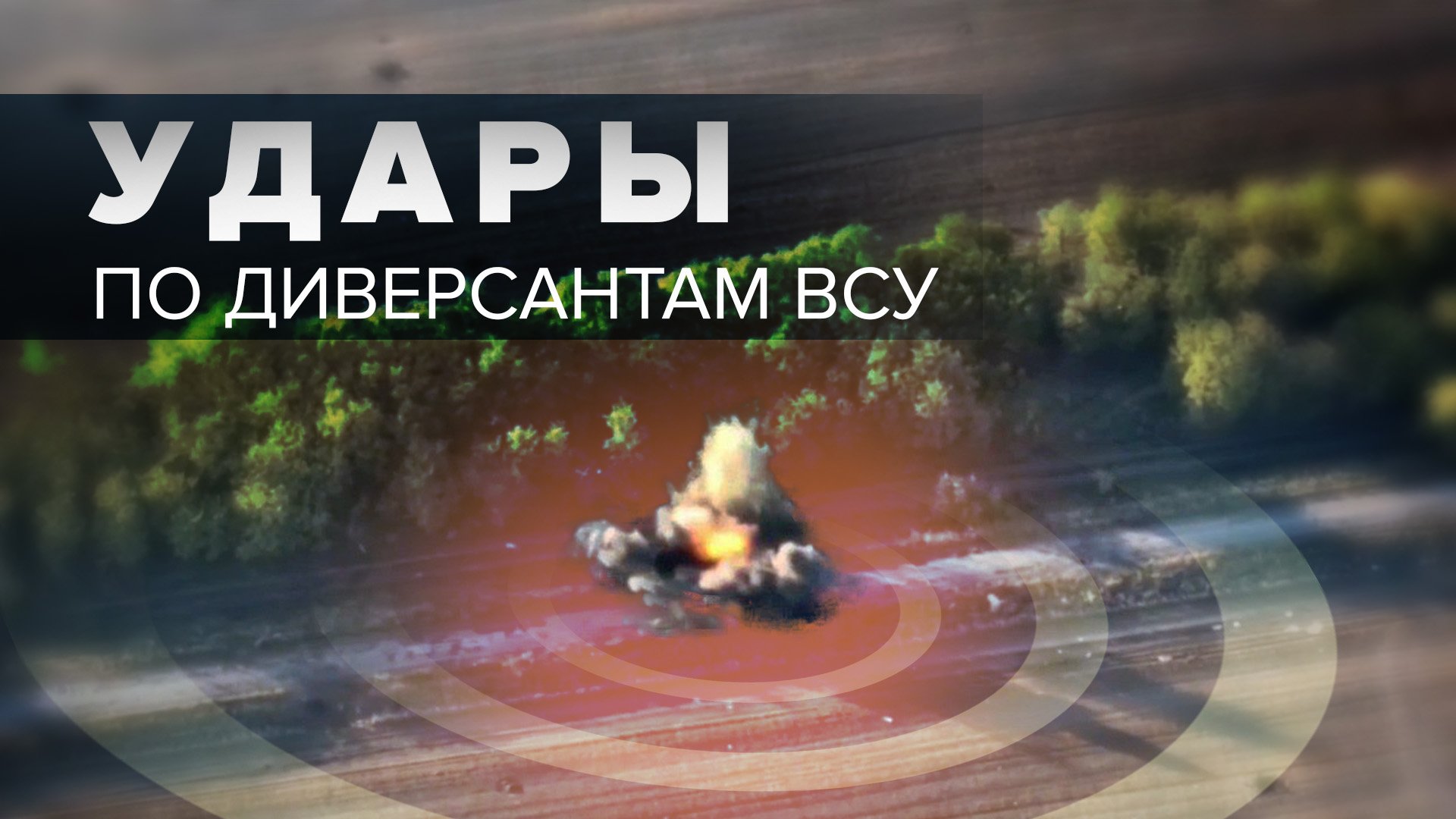 Подразделения ВДВ уничтожили диверсантов ВСУ при помощи беспилотников