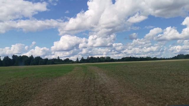 Коп 2021. Эквинокс 600, много находок❗ смотреть онлайн