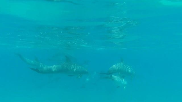 marec - may 2022, Hurghada, Egypt смотреть онлайн