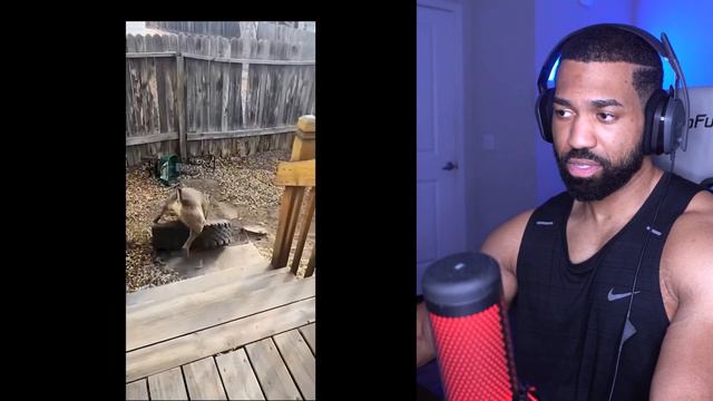 Memes I watch before bed...(try not to laugh) смотреть онлайн