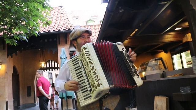 Чешский баянист играет Мурку)) в пивном ресторане Uleku 04 08 16 шакаш делал сам) всего 100 крон ))