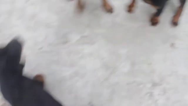 маленькие ягды смотреть онлайн