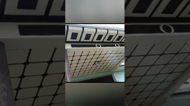Tunukapon I Gipsakardon Patalok Na Zakaz