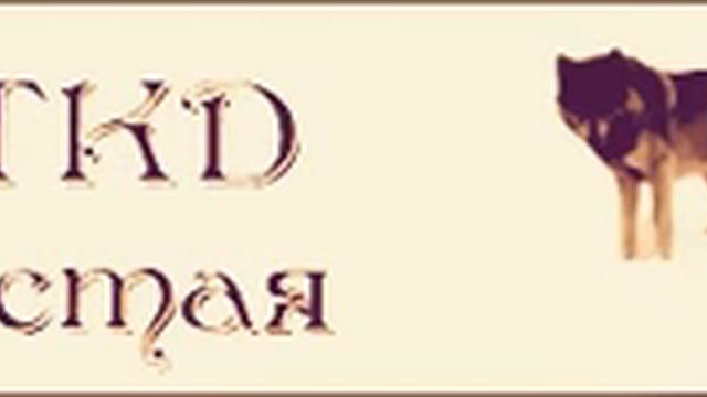 Cлова Чеченца. смотреть онлайн