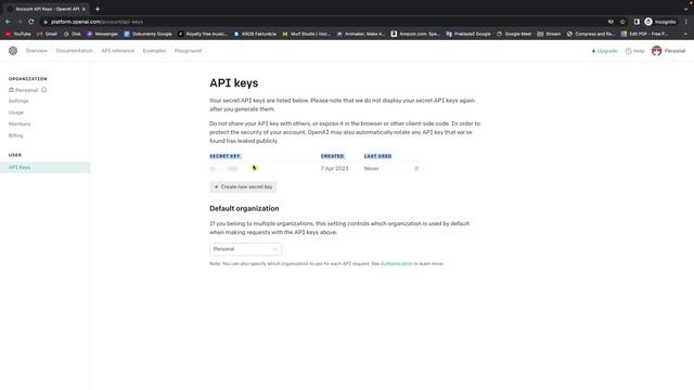 How To Get Api Key in ChatGPT | How To Find Apy Key | Openai Tutorial смотреть онлайн