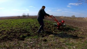 СЕЛИТРА под сидераты фрезеровка почвы мотоблоком