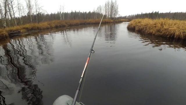 Секретные русла лесных рек.4 часть. смотреть онлайн