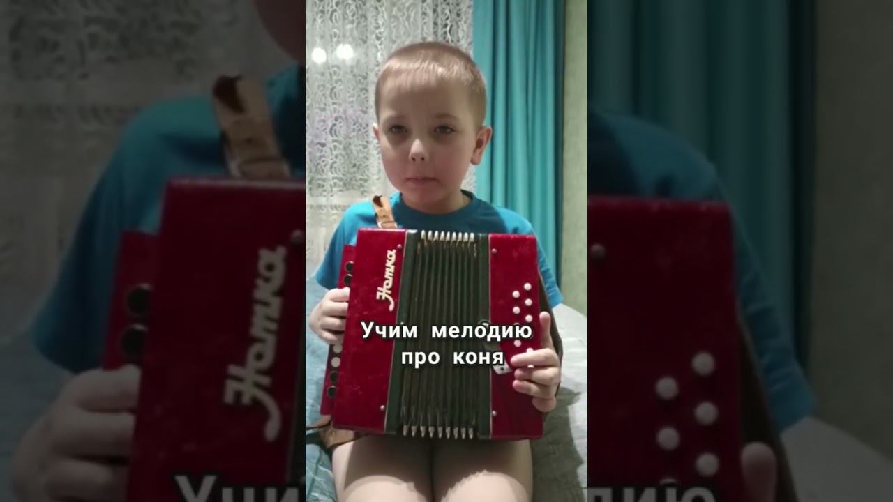 Мальчик играет на гармони#shorts смотреть онлайн