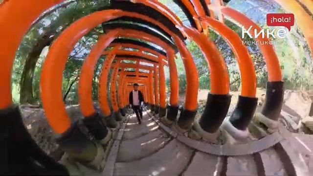 Откройте для себя Киото: дух Японии! ?? Волшебство Киото: Сакура, Храмы и Гейши