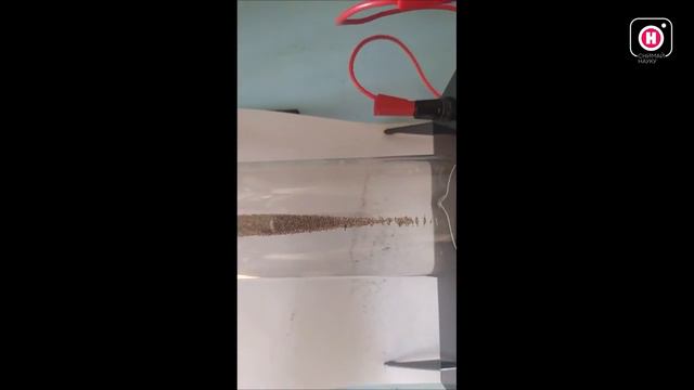 Звуковая волна