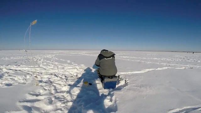 Шаблиш супер клев леща в глухозимье!!! смотреть онлайн