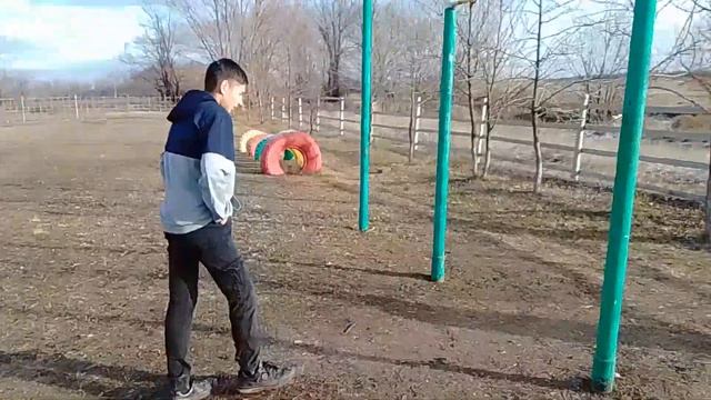 первый ролик/воркаут смотреть онлайн