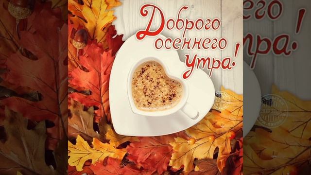 ???Доброе осеннее утро! #позитив #хорошеенастроение #открытка #осень #доброеутро смотреть онлайн