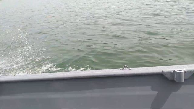 2022 Suzuki DF20. 1998 Tracker Guide V14. смотреть онлайн