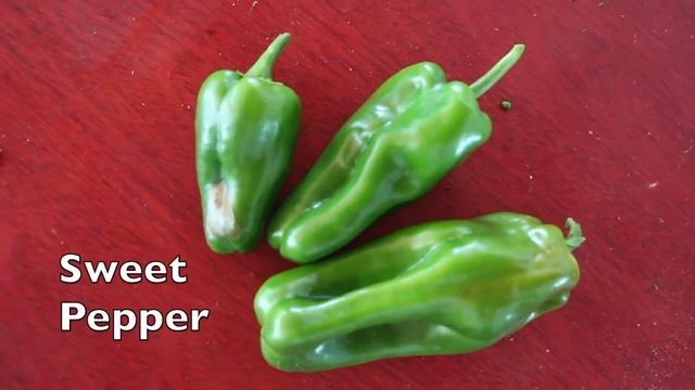 JACKFRUIT MEAT - HOW TO PREPARE смотреть онлайн