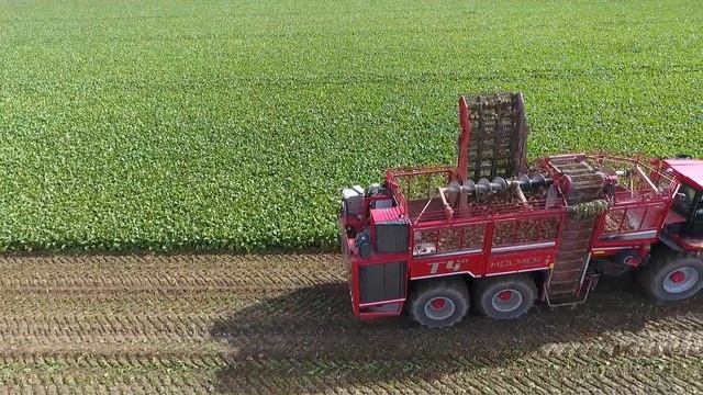 Как собирают (урожай) сахарную свеклу в Германии смотреть онлайн