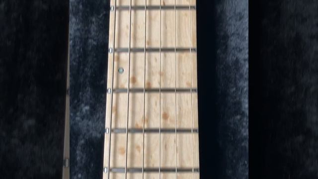Vicious Guitars Moth Pyramid Guitars Co. Spec смотреть онлайн