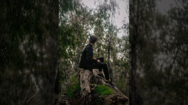 Hallman - Starfields смотреть онлайн
