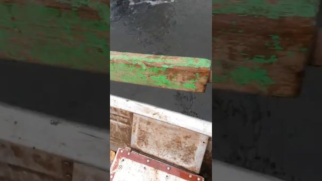 Судак-подранок смотреть онлайн