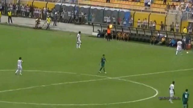 Final Copa São Paulo 2013 - Santos X Guarani смотреть онлайн