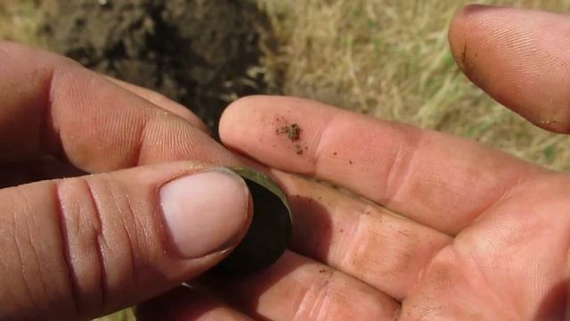 Metal Detecting EPIC! New Permission with GPX 5000 смотреть онлайн