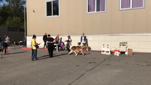 IMG 1580 смотреть онлайн