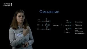 Химические свойства жиров. Мыла. Урок 23. Химия 10 класс