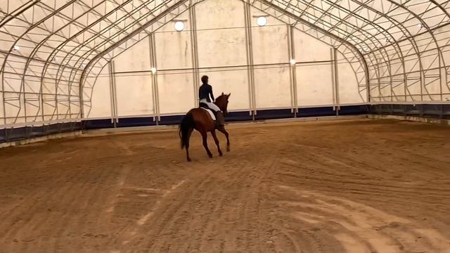 Троеборье КСК Кантри смотреть онлайн