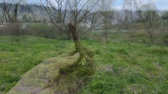 Полусчастье, или 40-минутный коп смотреть онлайн