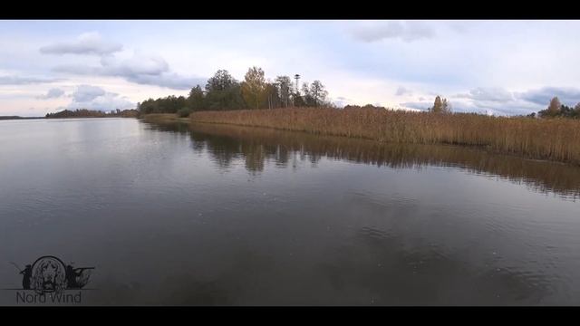 ПОЙМАЛ 27 ЩУК на границе с Эстонией. Река Нарва. Рыбалка с ночевкой. смотреть онлайн