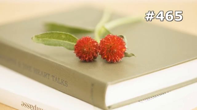 #465. Цветы и растения - самые лучшие цветы смотреть онлайн