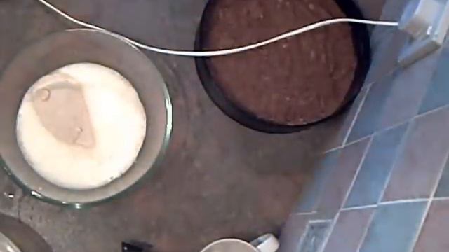 Once a Week Kitchen - How to Make Kiwi and Passion Fruit Cheesecake.wmv смотреть онлайн