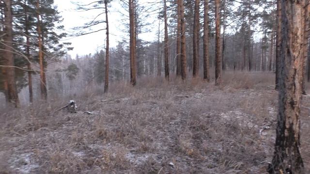 Охота на косулю без трофея ,считай экстремальный туризм! -38 градусов. смотреть онлайн