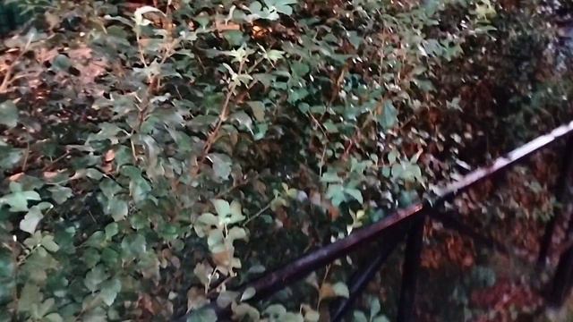 ВЫЗОВ ЫРКИ НОЧЬЮ  ! шашки по жизни  что же будет с нами дальше?