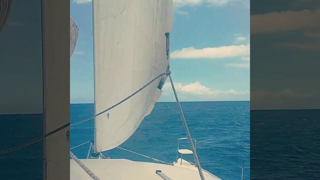 Charter 2021 mauritius смотреть онлайн