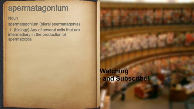 What does spermatagonium mean? смотреть онлайн