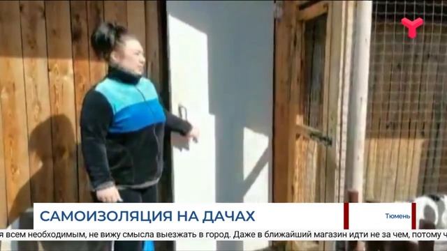Самоизоляция на тюменских дачах смотреть онлайн