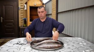 Судак. Холодное копчение.