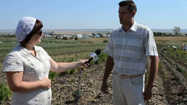 Мир саженцев питомник саженцев Альметевск-Нижнекамск смотреть онлайн
