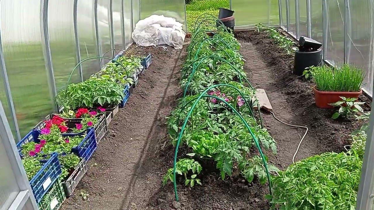 Жизнь в деревне. Видео за несколько дней. смотреть онлайн