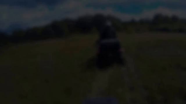 Grizzly700 смотреть онлайн